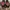 Dr. Martens Vintage Streetwear Loafer Wanita red black photo 4