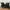 Dr. Martens Streetwear Coquette Boots Wanita multicolor black photo 3
