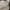 Dickies Vintage Casual Hoody Pria gray photo 1