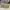 Coach Casual Shoulder bag Wanita cream photo 2