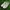 Nike Casual Sneakers Pria white gray photo 3