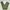 ZARA Streetwear Biker Casual pants Pria green photo 1