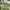 ZARA Streetwear Biker Casual pants Pria green photo 2