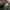 ZARA Streetwear Biker Casual pants Pria green photo 4