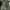 ZARA Streetwear Biker Casual pants Pria green photo 3