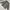 Nike Sportswear Track jacket Pria green photo 3
