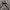 Realtree Vintage Streetwear Hoody Pria tan photo 2