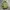 VANS Casual Bag Pria green photo 3