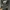 Converse Casual Sweater Pria Gray