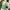 Vintage Y2K Baju muslim Wanita green photo 1