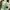 Vintage Y2K Baju Muslim Wanita Green