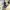 Vintage Y2K Summer dress Wanita cream blue photo 2