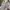 Esprit Vintage Y2K Shirt Wanita white gray photo 3