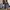 Japanese brand Vintage Pria gray photo 6