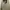 Casual Windbreaker Pria cream photo 1