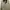 Casual Windbreaker Pria Cream