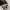 VANS Skater Sneakers Pria black photo 5