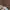 MLB Vintage Casual Hat Pria tan black photo 6