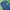 Y2K Jeans Pria navy photo 6