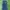 Y2K Jeans Pria Navy