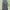 FUBU Vintage Y2K Jeans Pria navy black photo 4