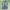 FUBU Vintage Jeans Pria navy photo 1