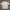 BALANSA Streetwear T-shirt Pria gray photo 1
