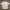 BALANSA Streetwear T-shirt Pria Gray