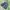 ECKO UNLTD Vintage Y2K Jeans Pria navy photo 2