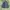 ECKO UNLTD Vintage Y2K Jeans Pria navy photo 1