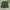 ECKO UNLTD Vintage Y2K Pria black photo 1