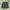 ECKO UNLTD Vintage Y2K Pria Black