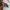 ECKO UNLTD Vintage Y2K Bag Pria orange photo 3