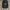 Obey Vintage Y2K Hat Pria black photo 1