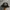 Obey Vintage Y2K Hat Pria black photo 2