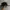 Obey Vintage Y2K Hat Pria black photo 3