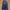 Levi's Y2K Casual Jeans Pria blue photo 2