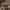 New Look Luxury Casual Clutch Wanita tan photo 4