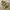 UNIONBAY Casual Hoody Pria cream yellow photo 2
