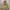 UNIONBAY Casual Hoody Pria cream yellow photo 1