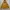 Hangten Sportswear Hoody Wanita yellow photo 1