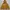 Hangten Sportswear Hoody Wanita Yellow