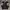 Vintage Y2K Polo shirt Pria black photo 4