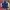 Streetwear Bomber jacket Pria gold blue photo 1