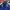 Streetwear Bomber jacket Pria gold blue photo 2