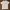 Stussy Streetwear Y2K T-shirt Pria white photo 4