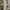 212 Degrees Streetwear Minimalist Bodycon Dress Wanita Tan Cream