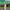 Vintage Streetwear Pria tan photo 2