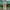 Vintage Streetwear Pria tan photo 1