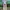 Vintage Streetwear Pria tan photo 3